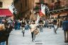 La fotogallery della consegna del Masgalano all'Istrice